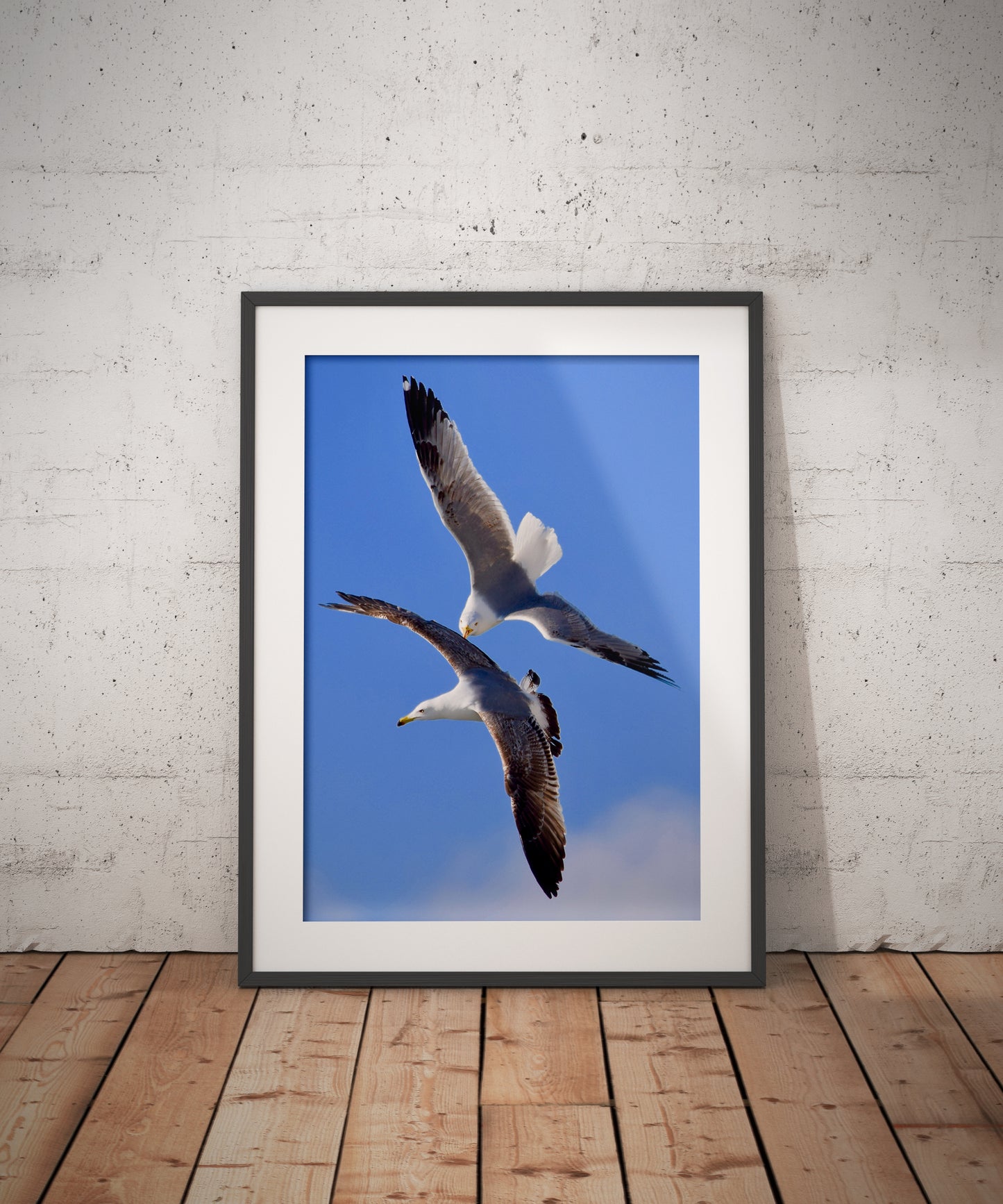 Tirage Fine Art - Mouettes en plein vol