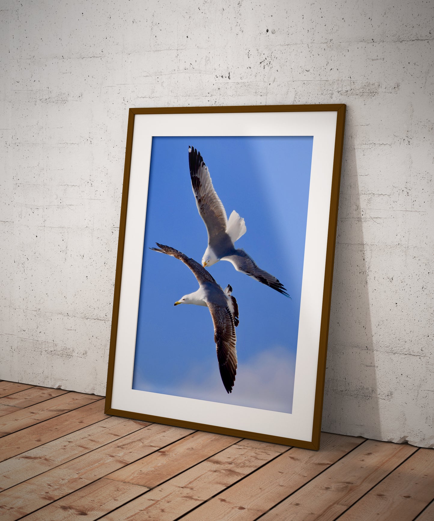Tirage Fine Art - Mouettes en plein vol