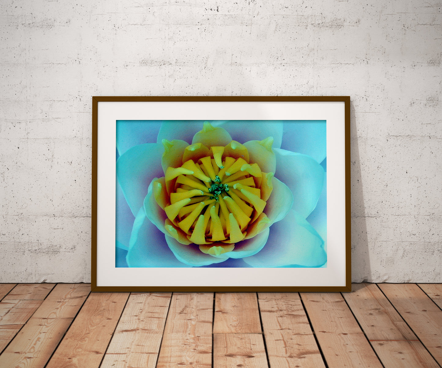 Tirage Fine Art - Fleur turquoise et jaune