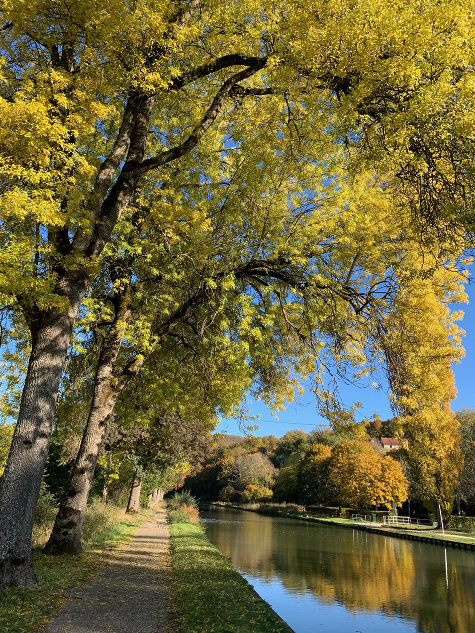 Tirage Fine Art - La campagne autour de Dijon