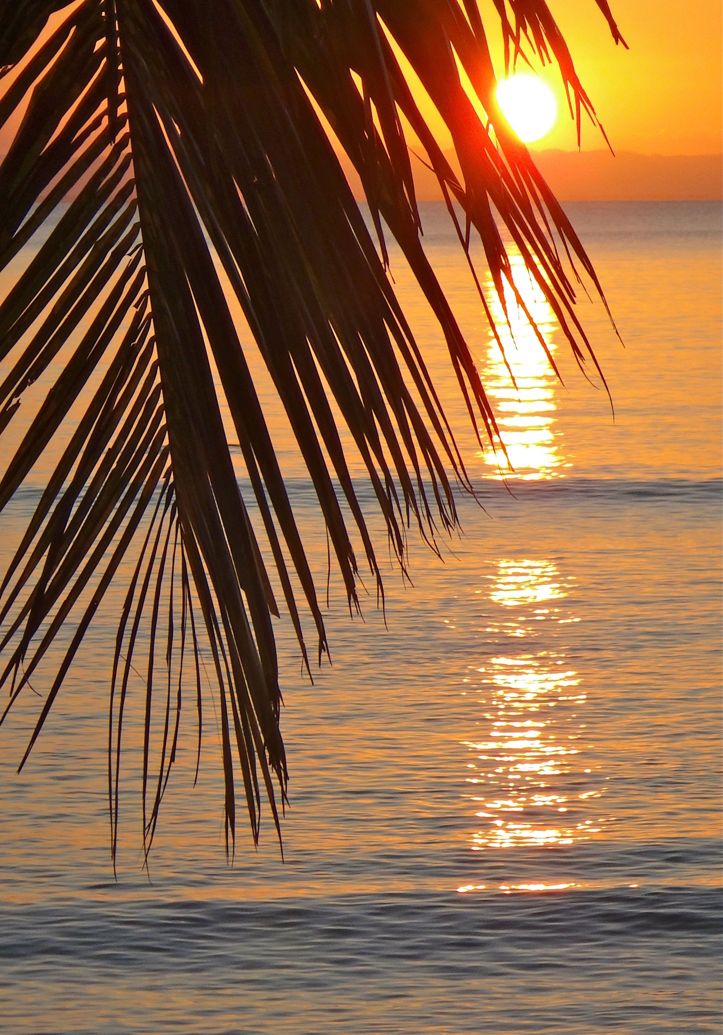 Tirage Fine Art - Coucher de soleil à Madagascar, palmier