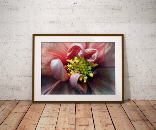 Tirage Fine Art -Expo Macro fleur