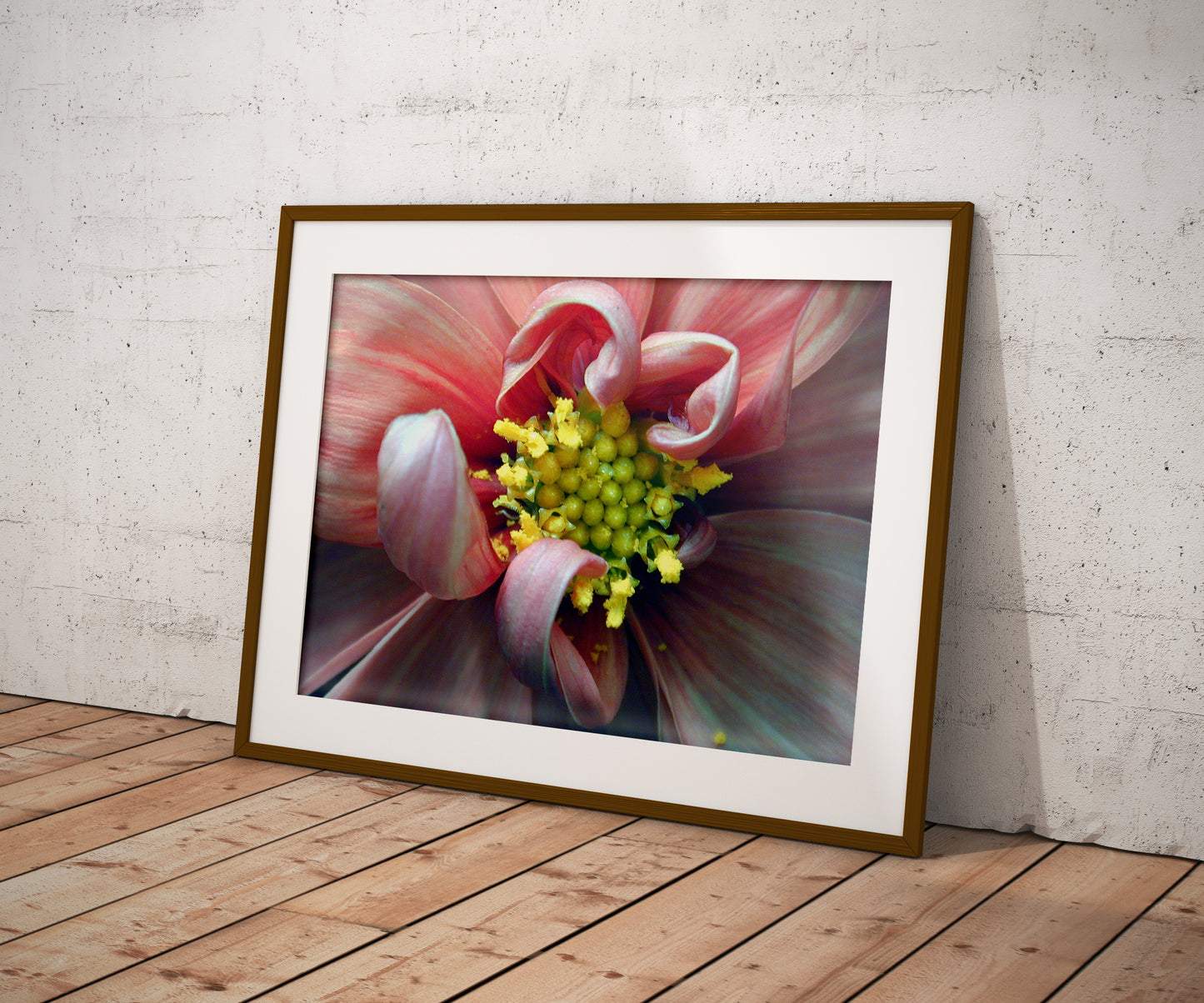 Tirage Fine Art -Expo Macro fleur